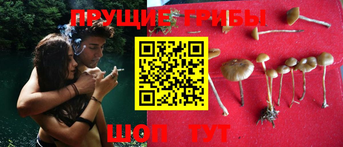 Галлюциногенные грибы мухоморы  Псилоцибиновые грибы ЛСД  Вход с VPN  Гурьевск 